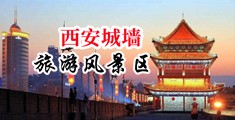 黄色网站下载大鸡巴中国陕西-西安城墙旅游风景区